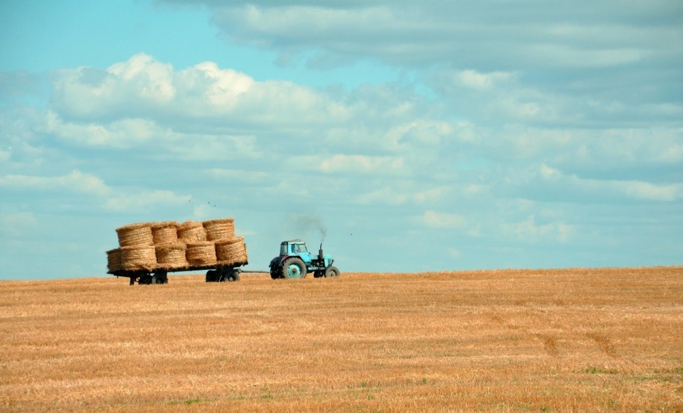 Sunny day on a wheat farm with a tractor full of hay barrels working on the land.
