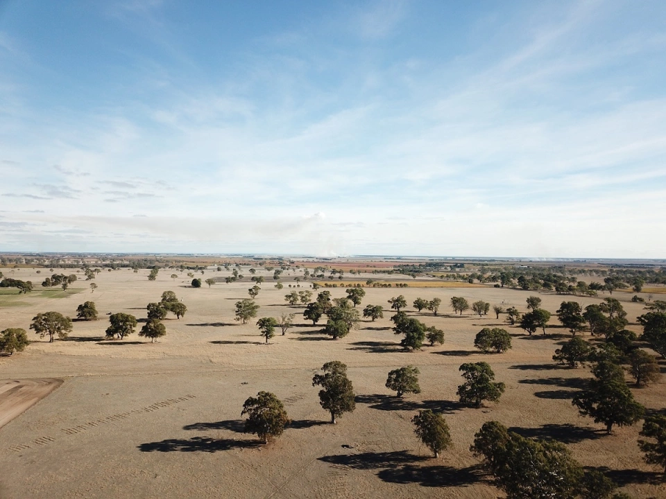 Firearm laws johnston withers lawyers